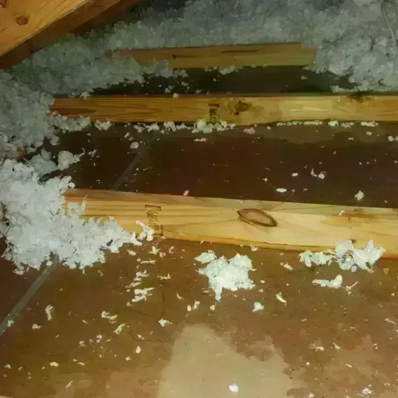 Attic Water Damage in Channahon, IL