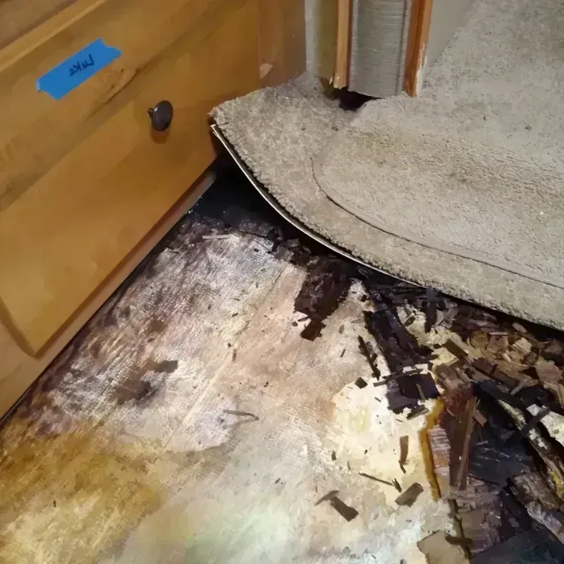 Wood Floor Water Damage in Channahon, IL